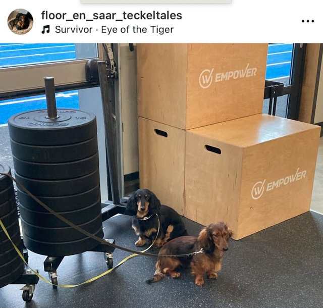 Scherm&shy;afbeelding 2026 01 23 om 10.25.39